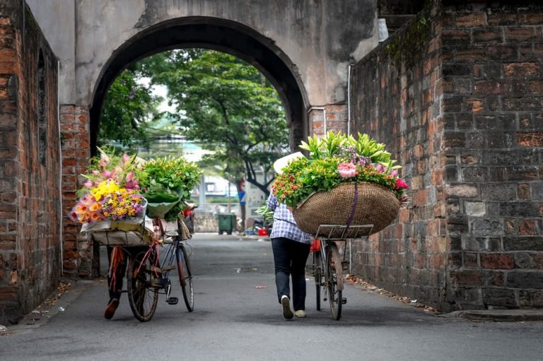How To Carry Flowers On A Bike?