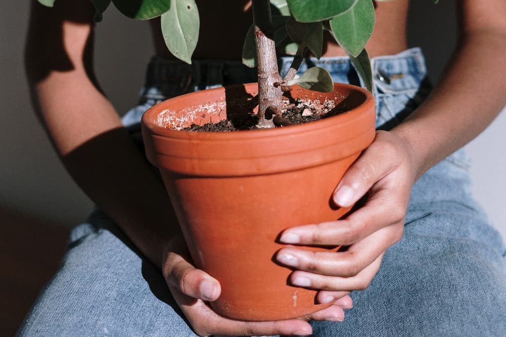 female cyclist holding potted plant