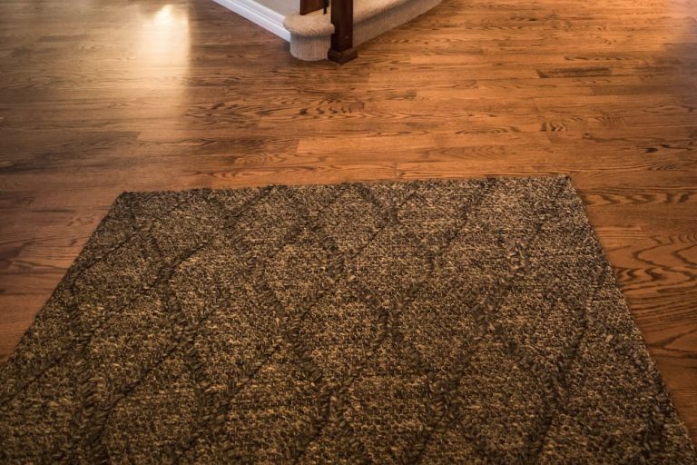 Can You Put Exercise Bike on Carpet?